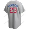 Nueva camiseta de béisbol personalizada 9 Javier Baez 44 Anthony Rizzo Chicagos Willson Contreras Kris Bryant Ryne Sandberg Cachorros jason heyward ian happ Hombres Mujeres Niños Jerseys