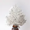 Fleurs décoratives 10pcs 25-30 cm de longueur Branche de feuille en cuir de fleur préservée pour arrangement Mariage de Noël Fête de Noël Décoration du jardin