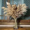 Decorative Flowers Dry Flower Arrangement Dried Natural Ramos De Novia Flores Secas Naturales Deco Mariage Boheme Pampas Grass Free