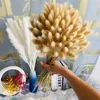 Decorative Flowers Lagurus Ovatus Natural Pampas Grass Dried Flower Flores Decorativas Tail Bouquet Home Decor Dekoration