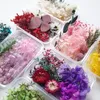 Dekoratif Çiçekler Kurutulmuş Kit Çok Kullanımlı DIY Mum Yapımı Hydrengea Chrysanthemum Gypsophila Yaprakları Kabartmalı Noel Malzemeleri Malzeme