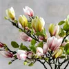 Dekorativa blommor 68 cm Artificial Magnolia Flower Branch Fake Silk Plant Wedding Party Simulation Bouquet for Home Living Room Decoration