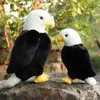 Stuffed Plush Animals New Product Simulation Bird Plush Toy Eagle/Vulture/Pelican/White Stork/ Birthday Gift for Children Cool Toys Pacify the Doll. R230810