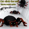 ElectricRC Animals RC Spider Toy Remote Control Infrared Realistic Mock Fake Prank Tricky Jock Halloween Easter Children Toys Kids Gift 230811