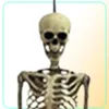 Halloween Prop Decoration squelette pleine taille crâne de vie à la main