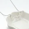 Everfast 10pc/Lot Chemistry Flower Molecule Pendants Maxi Colar 간단한 스테인레스 스틸 초커 목걸이 여자 부부 사랑 선물