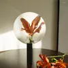 Vasos redondos lentes geométricas vaso de base caseira decoração de ornamentos