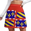 Jupes drapeau du bourgogogne france mini jupe coréenne de style coréenne femme 2023 modeste pour