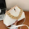 Stucche da donna Scherma Summer Personality Molege Molend Trend Fashion Trend Solid Color Mobile Coin Panna Small Chain Bag Fresh Chain 3 Styles 5293#