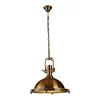 Pendents Loft Electroplate Metal Lights rétro Roin Dining Room Bar Industrial Iron Iron Living Assesses