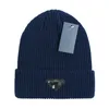 New spot wholesale brand in autumn and winter Europe and America version of men's and women's wool hats warm knit hats street cold hats.