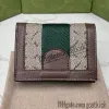 حاملي البطاقات Ophidia Card Case Wallet Mini Clutch Jumbo Short Wallets حامل البطاقة محفظة امرأة مصمم عملة عملة حقيبة جلدية حقيقية G238124D