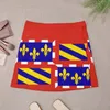 Jupes drapeau du bourgogogne france mini jupe coréenne de style coréenne femme 2023 modeste pour