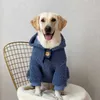 ベアフーディーペットドッグ服ラムファッション服犬かわいいゴールデンサーマルプリント秋の冬ウォームブルーボーイマスコタラブラドールHKD230812