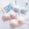 Mutterschaft Intimates Stillen Bras Mutterschaft Pflege BH atmungsaktivem Vorderknopf Unterwäsche Kleidung für schwangere Frauen Soutien Gorge Allaitement HKD230812