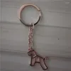 Keychains Miniature Schnauzer Key Chains Fashion Geometric Jewellery Car Keychain Bag Keyring For Women Men