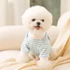 Abbigliamento per cani 2023 Autunno inverno pullover a strisce a strisce a strisce sottili due gambe vestiti per gatti per animali domestici simpatici piccoli cani