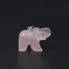 Colliers pendants en pierre naturelle Crystal Crystal Lucky Elephant Taped Tiger Eye Opal Charmes pour faire des accessoires de bijoux de collier bricolage