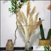 Decorative Flowers Wreaths 55-60Cm Dried Flower Natural Reeds Big Pampas Grass Ornamental Wedding Shop Decoration Ornament Home Dr Otxkz