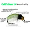 BAITS LURS BIMOO 6PCS # 10 # 12 CDC Feather Hackle Nymph Scud Fly UV BRALDEAHEAD BUG WET BUG WORM TROUT FREVISS