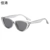 New Korean version cat's eye small frame trendy INS street photo Spicy Girl sunglasses popular on internet with the same hip-hop glasses for women