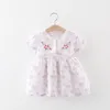 Robes de fille belle robe de princesse bébé