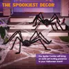 Inne imprezy imprezowe Halloween Giant Spider Duże przerażające dekoracje na halloweenowe dekoracje na świeżym powietrzu Plush Fake Spider Web Likupidacja Halloween na podwórko 230811