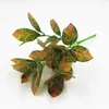 Dekorativa blommor Konstgjord grön växt 5 gaffel Simulerade lämnar färg som förändrar plastväxter för vardagsrumsdekoration