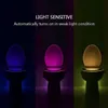 8 Farben Toilettenleuchte PIR Motion Sensor Toilette Nachtleuchte LED WASHROOM NACHT LAMPE TOMTORTEL LELLE FÜR DIE BADRAUT TOOL HKD230812