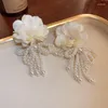 Gestüt Ohrringe Bohemian Big Flower for Women Statement Schmuck handgefertigtes Kristallperlen Mode Langes Quasten Hochzeit Dangle Girl