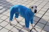 Abiti da cane abbigliamento per cani abiti per cani in inverno in pile calda il cappotto per cani è adatto per i piccoli vestiti di levrieri italiani bianchi 230812