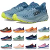 mens hoka vandringsskor