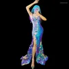 Сцены износ лазерные зеркальные блестки длинные платья модель модели костюм костюм банкет вечеринка вечерние платья Drag Queen Vdb6195302R