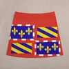 Jupes drapeau du bourgogogne france mini jupe coréenne de style coréenne femme 2023 modeste pour