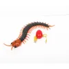 ElectricRC Zwierzęta podczerwieni USB zdalne sterowanie stonipede Electric Toys Childrens Halloween biżuteria rekwizyty 230812