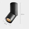 Taklampor Cylinderytmonterade LED-lampor 10W Spot Light AC110V-240V för vardagsrum