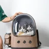 BACKPACK CAT CATHPACK BASS CATS TRASPARENT
