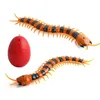 ElectricRC Animals Funny Electronic Scolopendras Remote Control Simulation Scolopendra Tricky Prank Centipede Insect Toy Gifts for Children 230812