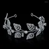 Hair Clips Tiaras And Crowns HADIYANA Fashion Trendy Design Simple Luxury Accessories For Women Wedding Anniversary BC5007