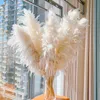 Decorative Flowers Wreaths 120cm Large Pampas Grass Natural Dried Flowers for Wedding Decoration Decor Boho Home Party Greenery Living Room Artificial 230812