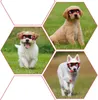 Hundkläder Atuban Goggles for Dogs Dog Glasses UV Protection Goggles Snöskydd Vindskydd Dammskydd med justerbar rem 230812