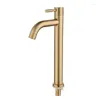 Bathroom Sink Faucets Golden Cold Water Tap Stainless Steel Faucet Washbasin Kitchen Accessories High Quality