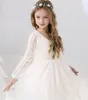 Robes de fille fleur blanc beige beige longue manche en tulle robe d'été communion pour les enfants pour enfants de fête d'anniversaire de mariage