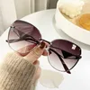 Fashion Sunglasses Frames Designer 2023p Home's New for Women's Two Tone Gradient Color grand cadre Plain Face Grandes lunettes de soleil, Whvq à la mode