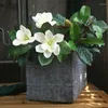 Fleurs décoratives 71cm pu artificiel magnolia fleur de fleur mariage maison décoration bouquet de planche à manger accessoires