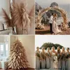 Fleurs décoratives 9pcs Grand Pampas Gris Natural Talon de 4 pieds de long Poupe de Pompas sec de 4 pieds Fluffy pour vase au sol