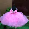 Роскошные розовые кружевные цветочные платья для девочек с шеей кристаллы маленькие девочки свадебные платья