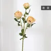 Fleurs décoratives 5pc Burnt Edge Simulation Rose Dry Flower Home intérieur Décoration Free Mariage Bouquet de fête Décor Floral