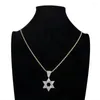 Pendant Necklaces Freewear Custom Hiphop Jewelry Men's Micro Pave Cubic Zircon Star Of David Charm Hexagon Necklace Iced Out Homme