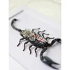 Decoratieve objecten Figurines Mechanische Beetle Scorpion Specimens Decoratieve verzameling van insecten Home Decor Accessoires Metaal Figurine 230812